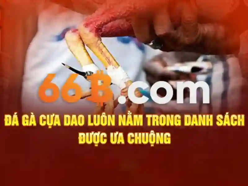 link 66b – Giới thiệu về nền tảng kết nối số tiên phong