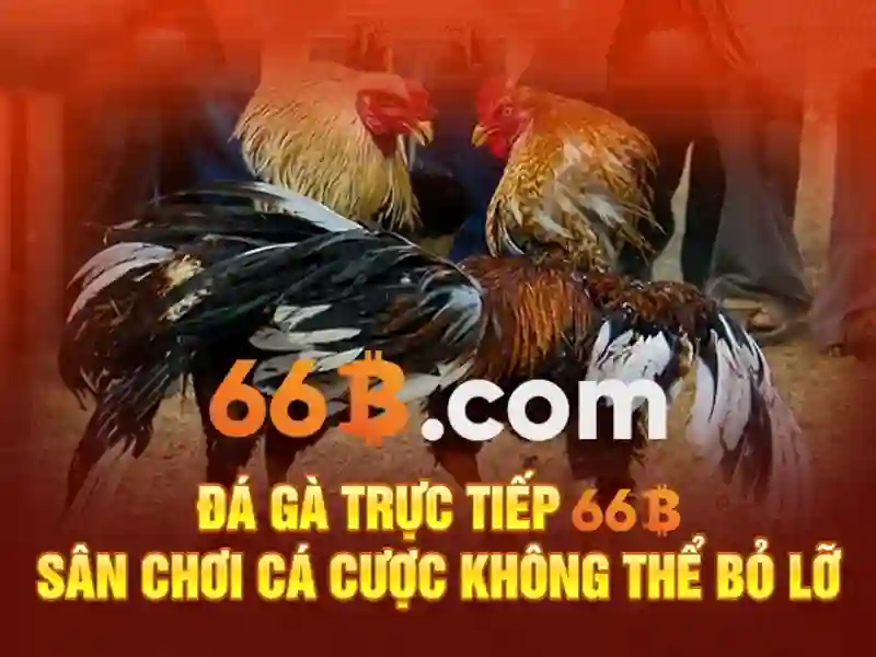 Ứng dụng Ứng dụng