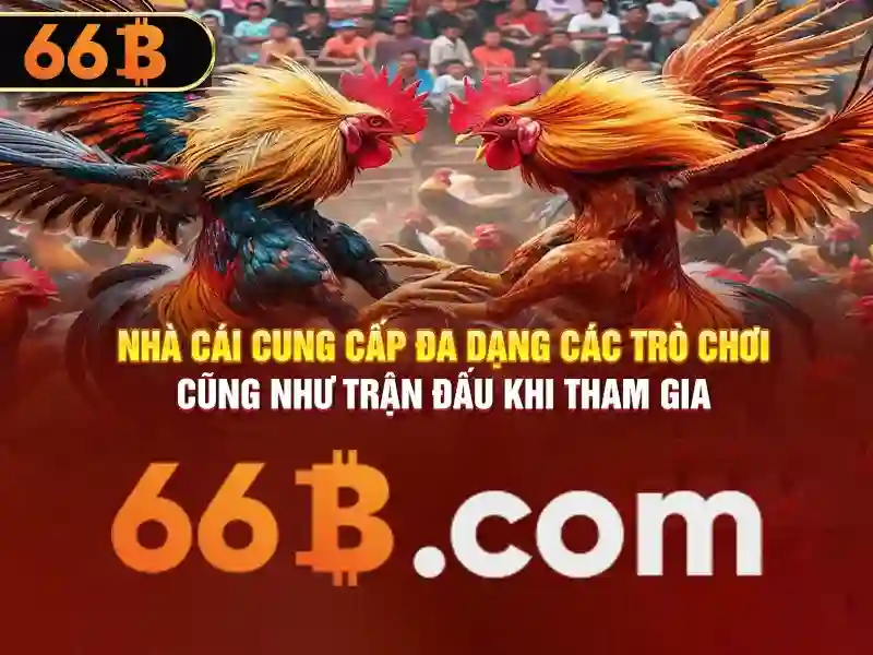Hình ảnh trải nghiệm người dùng 66b chính thức Hình ảnh trải nghiệm người dùng 66b chính thức