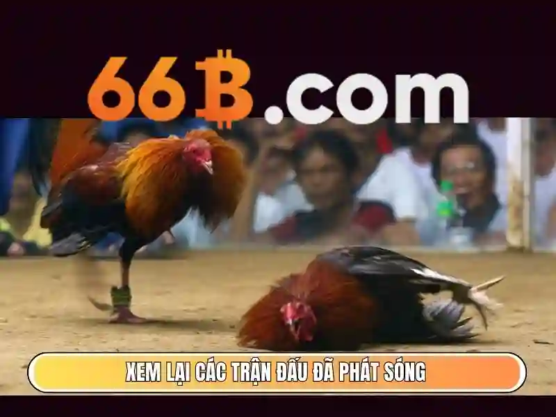 Kiến trúc và tham số của 66B Kiến trúc và tham số của 66B