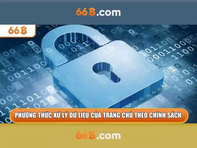 66B là gì và tại sao nó nổi bật Go88