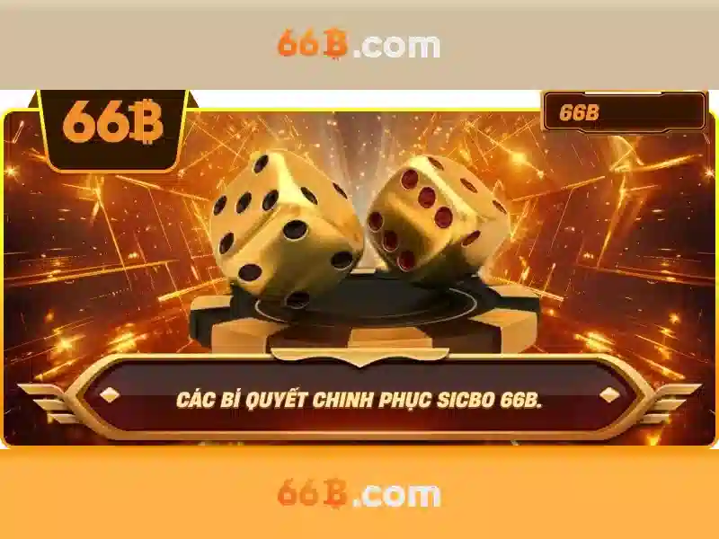 Các ứng dụng của 66b trong đời sống số
