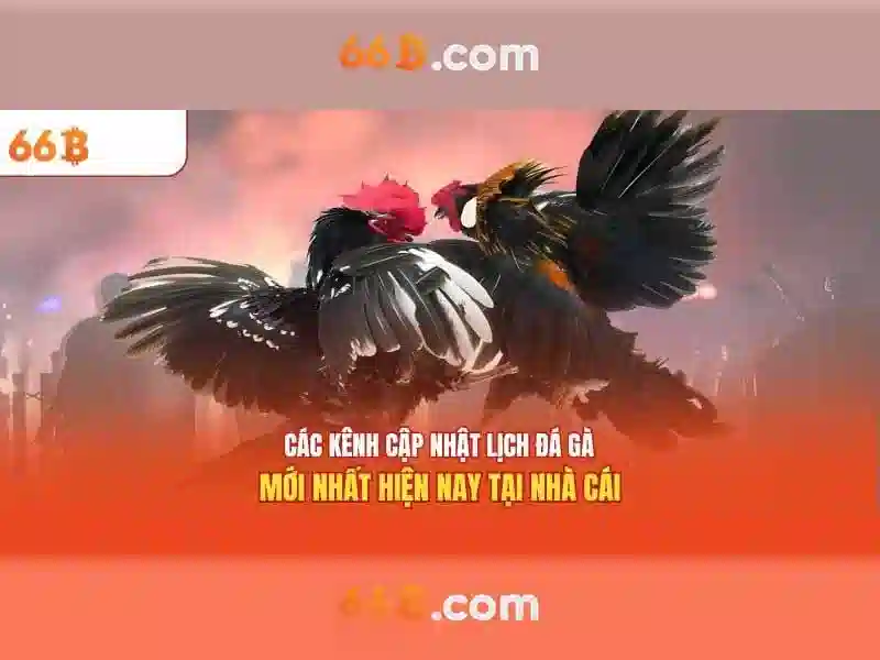Đăng Nhập