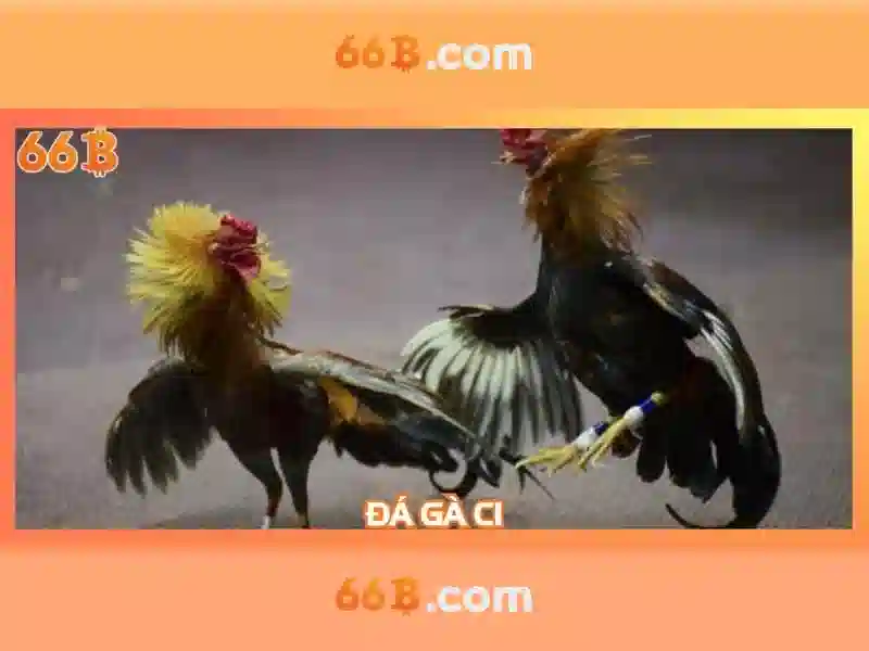 66b phan đăng lưu – chủ đề và giá trị cốt lõi 66b phan đăng lưu – chủ đề và giá trị cốt lõi