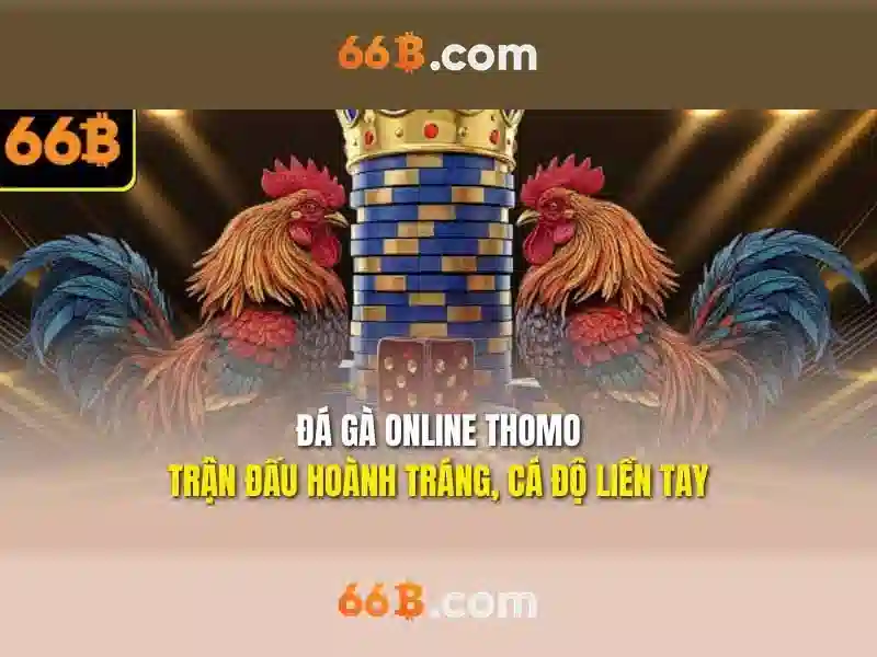 Ứng dụng và thách thức