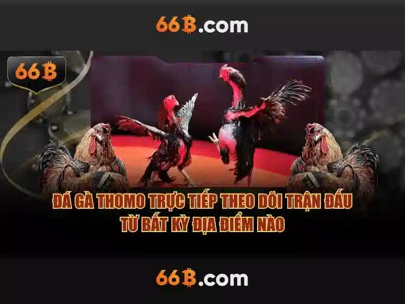 Hiệu năng và ứng dụng