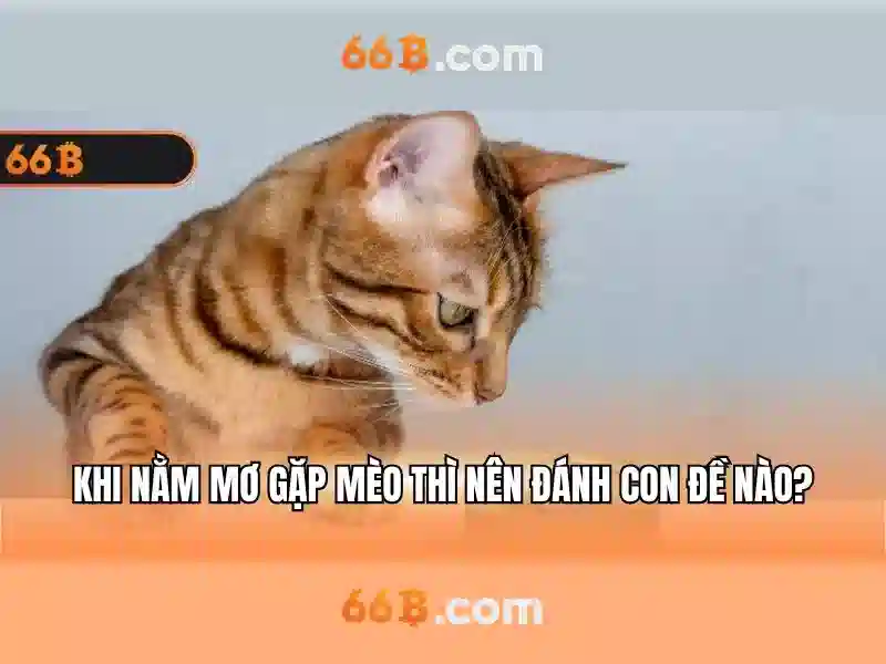 Hướng phát triển và tầm nhìn tương lai