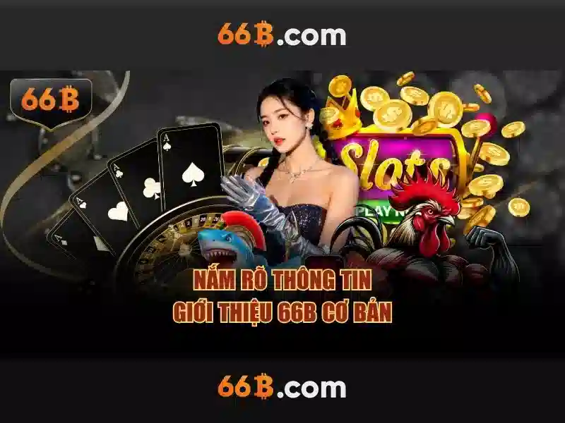 66b là gì và vai trò của nó trong hệ thống số hóa Go88