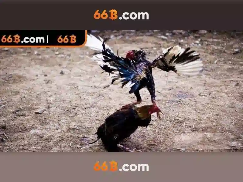 66B: Khai phá tiềm năng của một mô hình ngôn ngữ 66B Go88