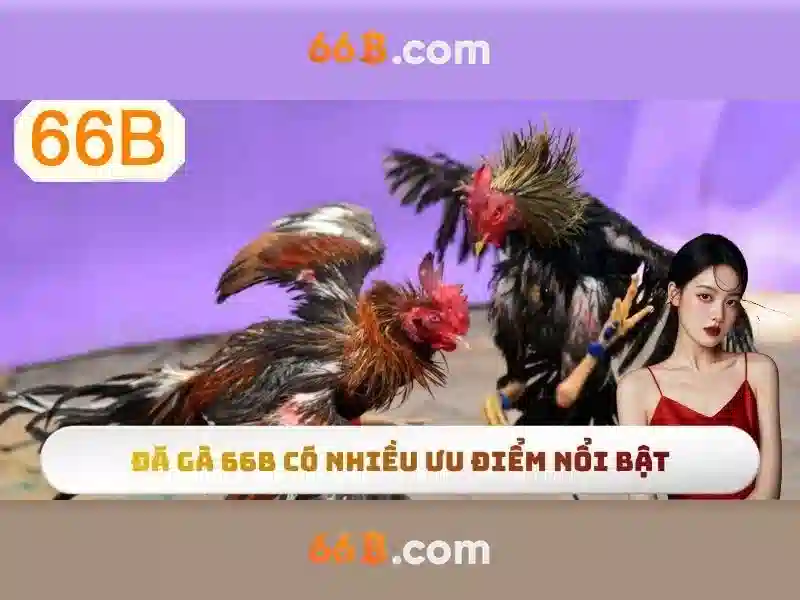 Đào tạo và tinh chỉnh<h>An toàn, đạo đức và giới hạn</h><p>Những mô hình kích thước trung bình như 66B vẫn đối mặt với rủi ro sai lệch, thiên vị và thông tin không chính xác. Cần có quản trị dữ liệu, kiểm tra đầu ra và cơ chế giám sát để đảm bảo an toàn và tuân thủ pháp lý.</p><h>Tương lai của 66B và kết luận</h><p>66B là một ví dụ điển hình cho sự cân bằng giữa hiệu suất và chi phí. Với các tiến bộ về tối ưu hóa, an toàn và khả năng tùy biến, các mô hình 66B có thể đóng vai trò quan trọng trong nhiều lĩnh vực của AI.</p>