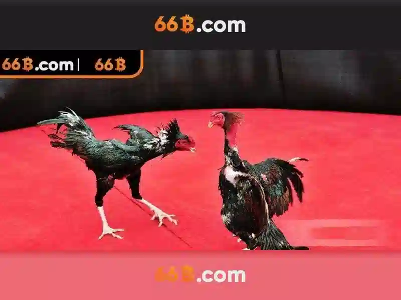 66B: Mo hinh ngon ngu lon 66 ty tham so Go88
