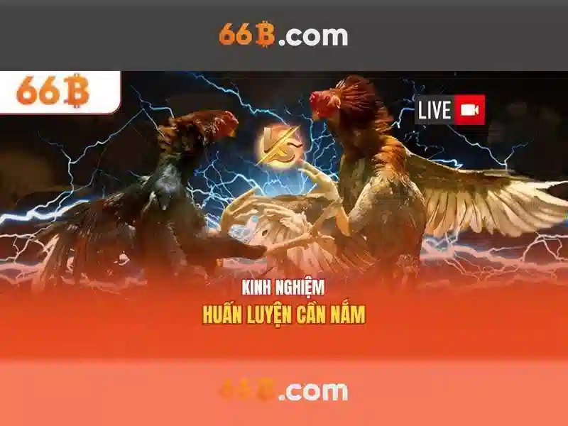 66b: khái niệm và các ứng dụng Go88