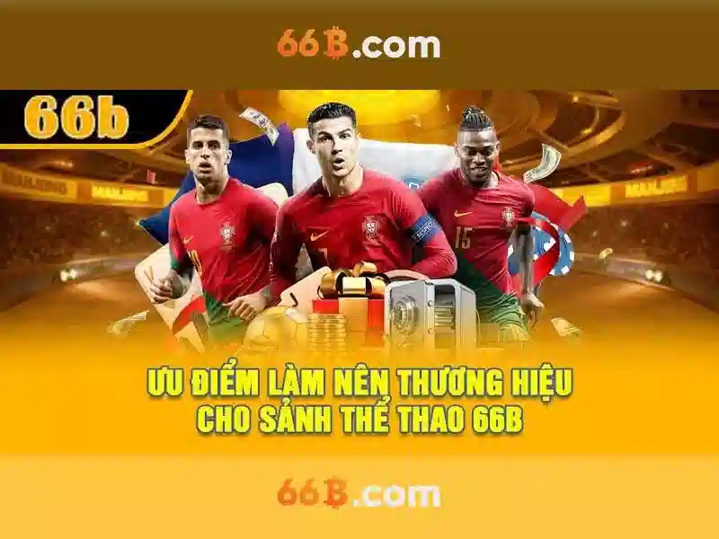 66b liên quan đến tối ưu hóa và mô hình hóa dữ liệu