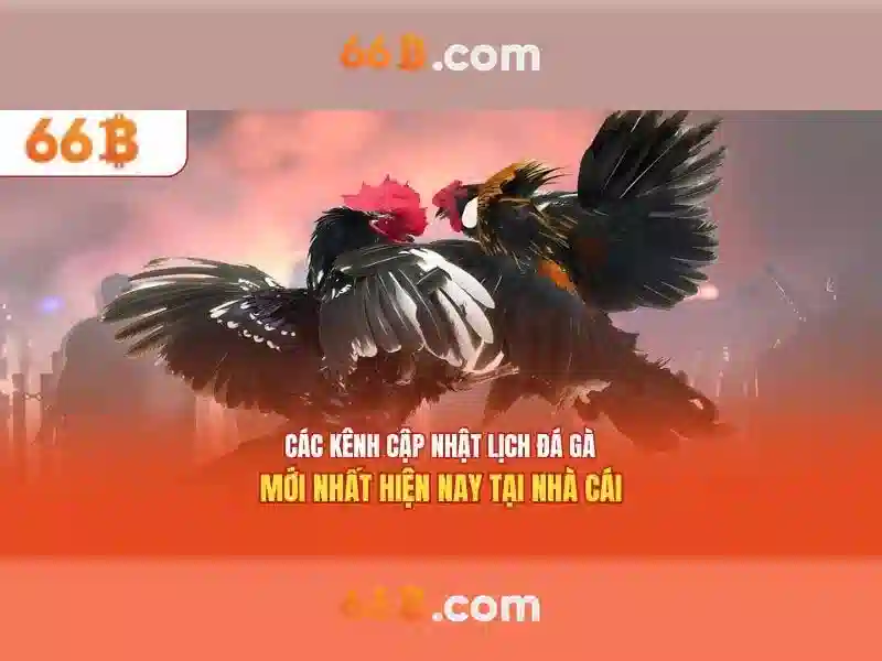 Kiến trúc và khả năng mở rộng Kiến trúc và khả năng mở rộng