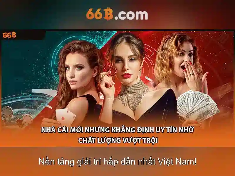 66b ứng dụng trong doanh nghiệp