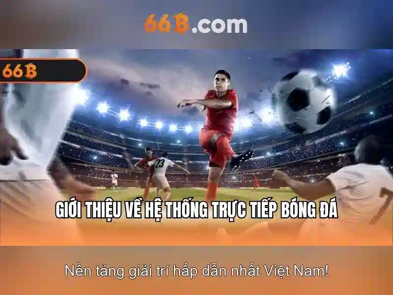 66b là gì 66b là gì