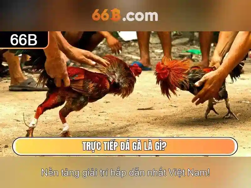 Về 66b 1 Đăng Nhập