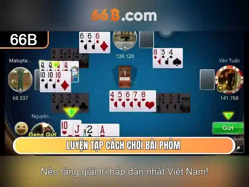 Kiến trúc và đặc điểm