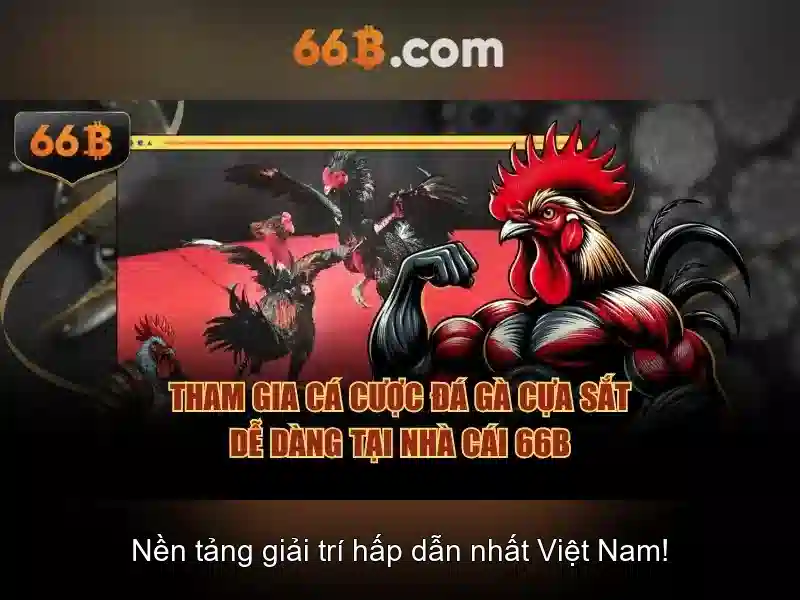 Cách hoạt động của 66b Cách hoạt động của 66b