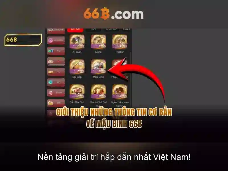 Giới thiệu tổng quan về 66b