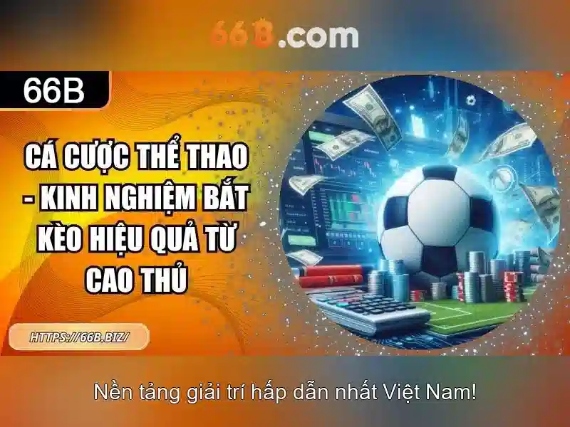 66b app – Tổng quan chủ đề và giá trị cốt lõi
