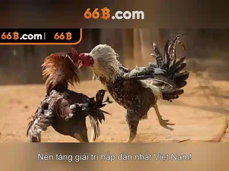 Ứng dụng của 66b