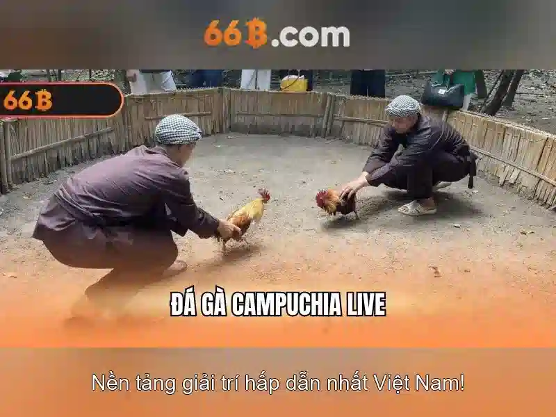66b: Khám phá mô hình ngôn ngữ 66 tỷ tham số Go88