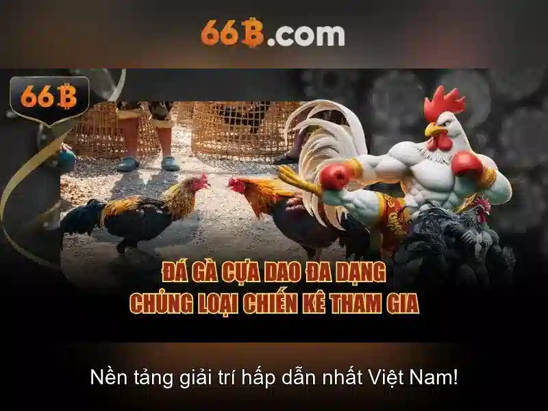 Khía cạnh toán học của 66b
