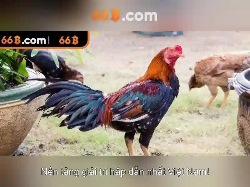 66b – một khái niệm công nghệ đầy hứa hẹn Go88