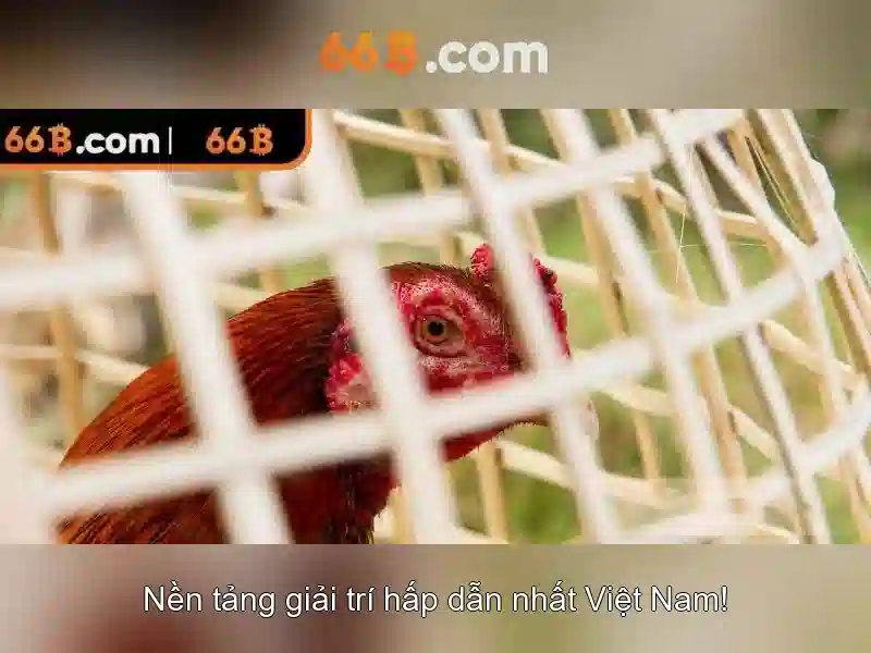 Tổng quan về 66b: một khái niệm và ứng dụng 1 Đăng Nhập