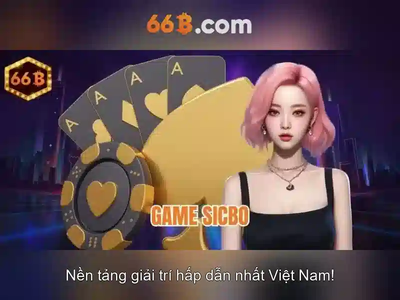 66B là gì?