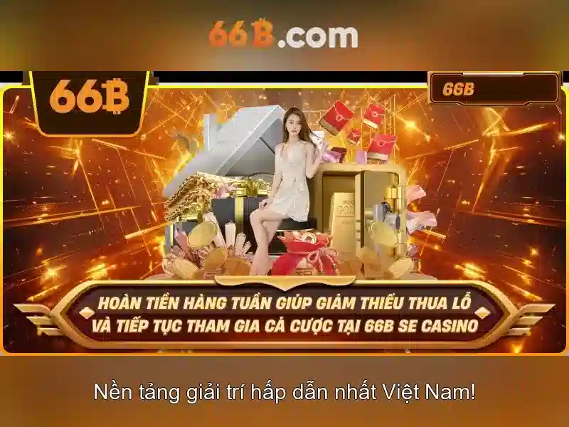 66B là gì?