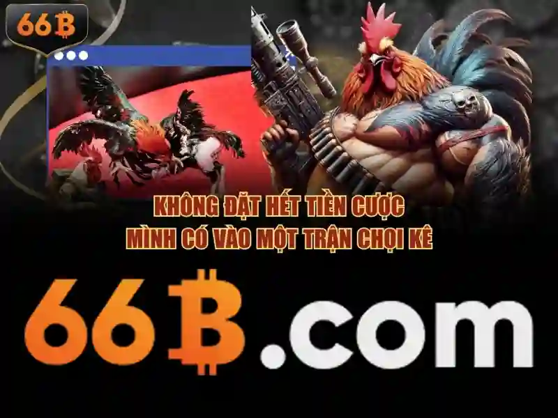 66b hoạt động bao lâu – tổng quan chủ đề và giá trị cốt lõi 66b hoạt động bao lâu – tổng quan chủ đề và giá trị cốt lõi