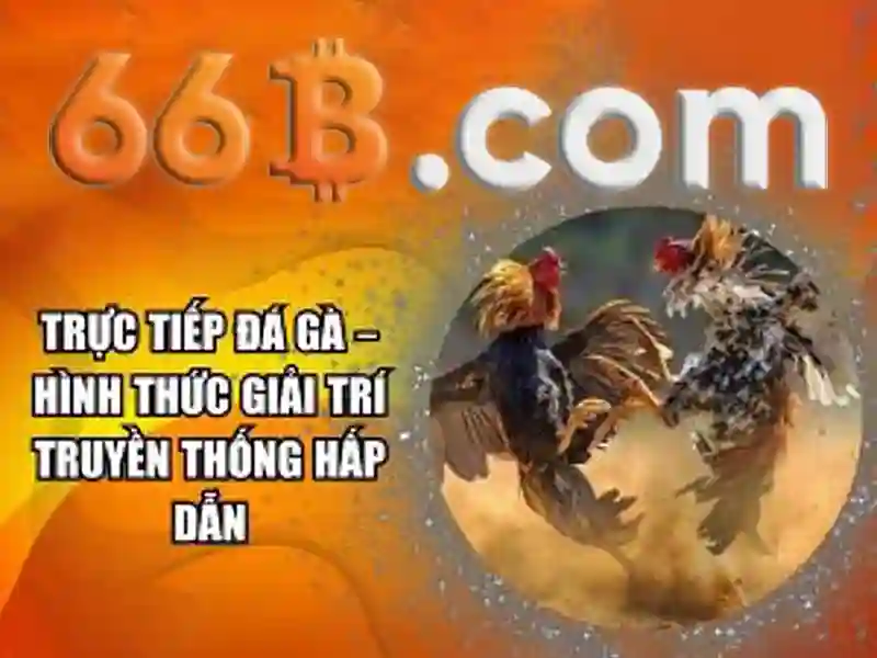 66b nguyen si sach – tổng quan chủ đề và giá trị cốt lõi 66b nguyen si sach – tổng quan chủ đề và giá trị cốt lõi