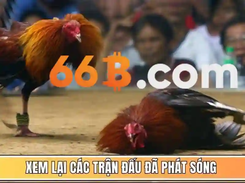 66B: một mô hình ngôn ngữ quy mô lớn 66B: một mô hình ngôn ngữ quy mô lớn