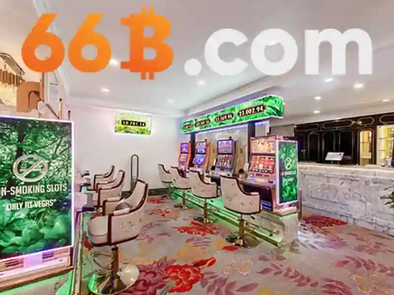 Những đặc điểm chính của 66b