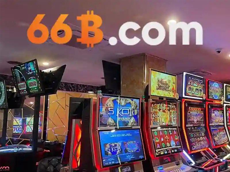 66B là gì? 66B là gì?