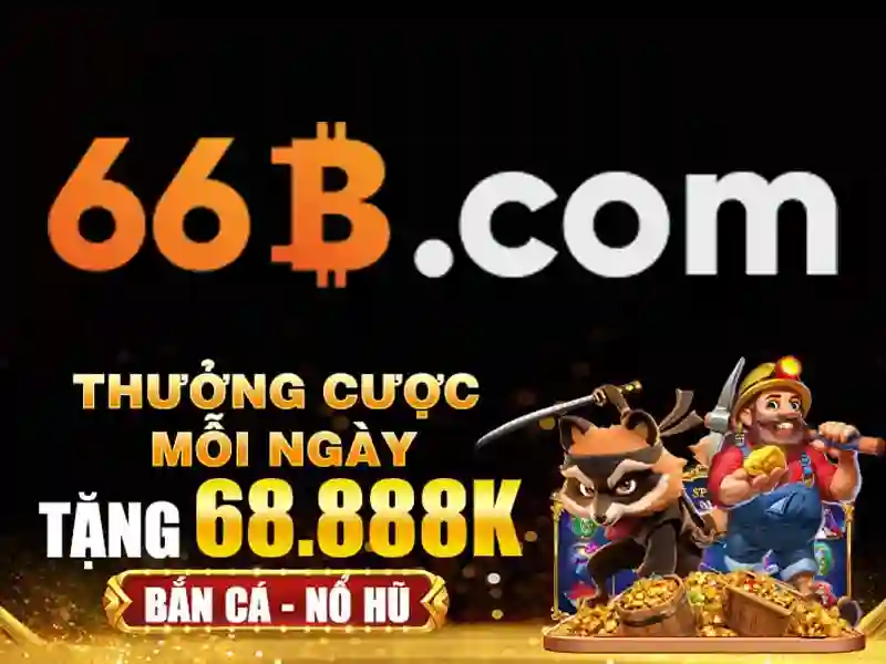 66b có giấy phép không – Giới thiệu