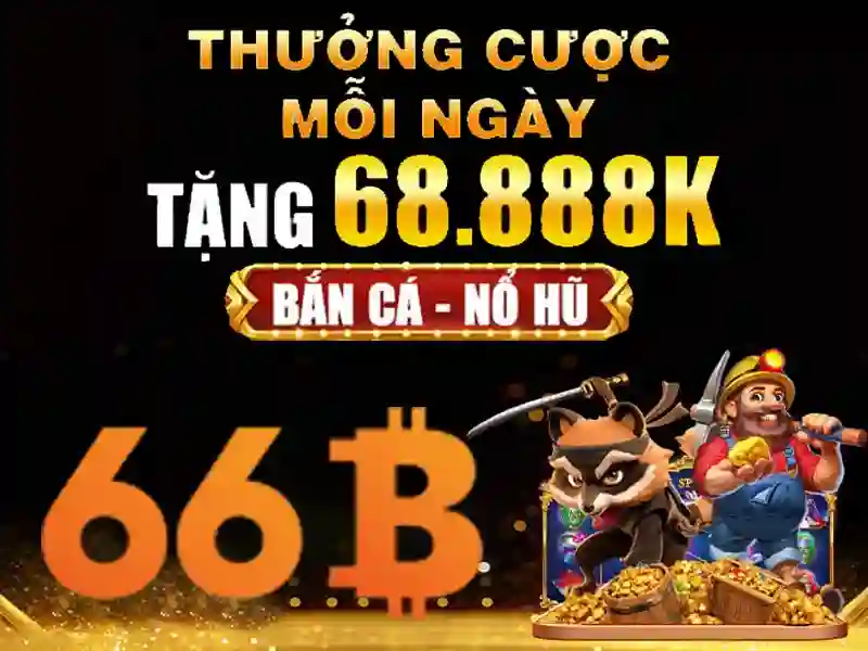 Trải nghiệm người dùng và phản hồi cộng đồng